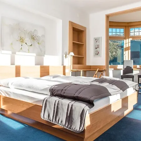 Davos INN Hotel 3*